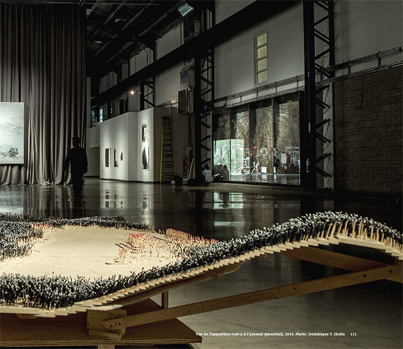 Dominique Gaucher – Image 5