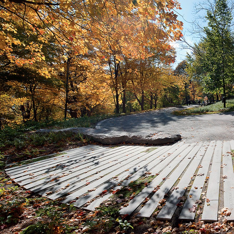 Linda Covit – Image 4