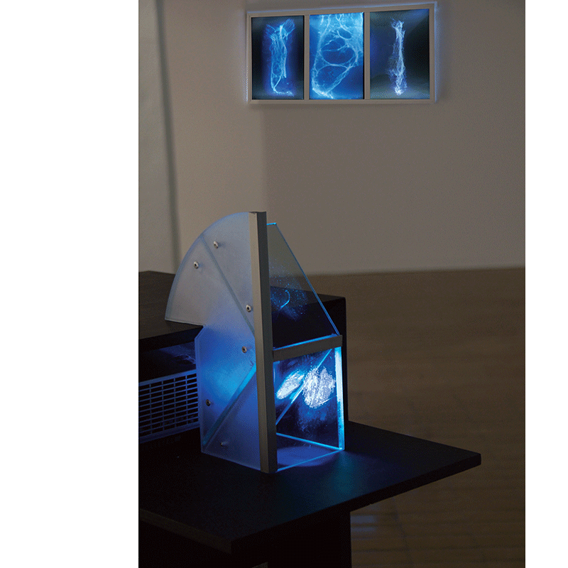 Denise Dumas : Unités de transfert - Transfer units – Image 3