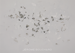 Jérôme Bouchard : 225170 pièces et autant de restes