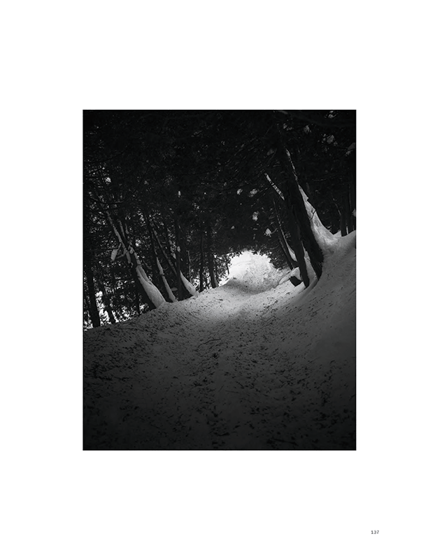 Bertrand Carrière : Solstice – Image 4