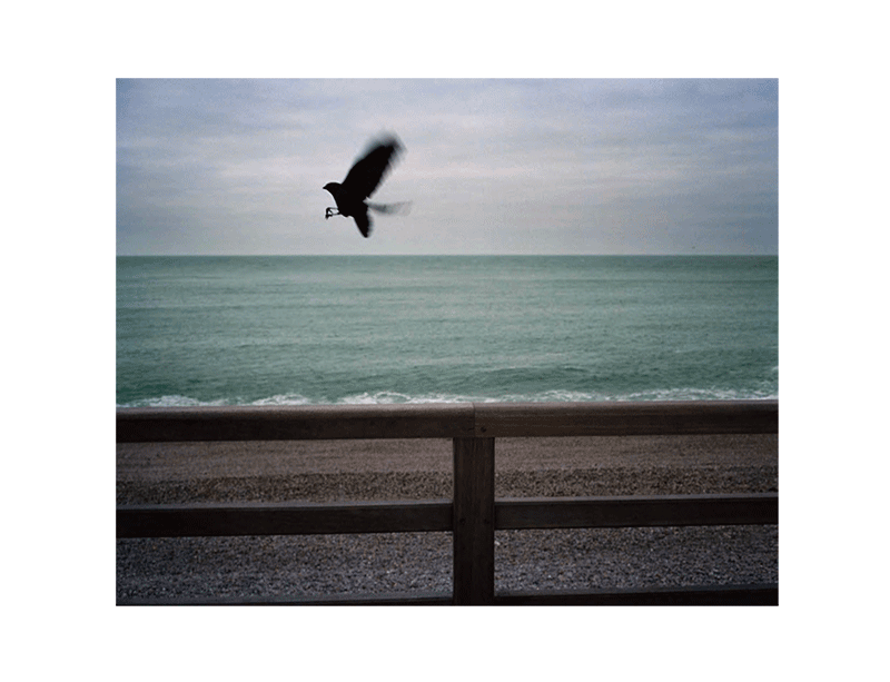 Bertrand Carrière : Solstice – Image 6