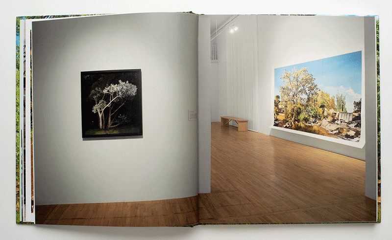 Jocelyn Philibert. Métamorphose du réel – Image 5