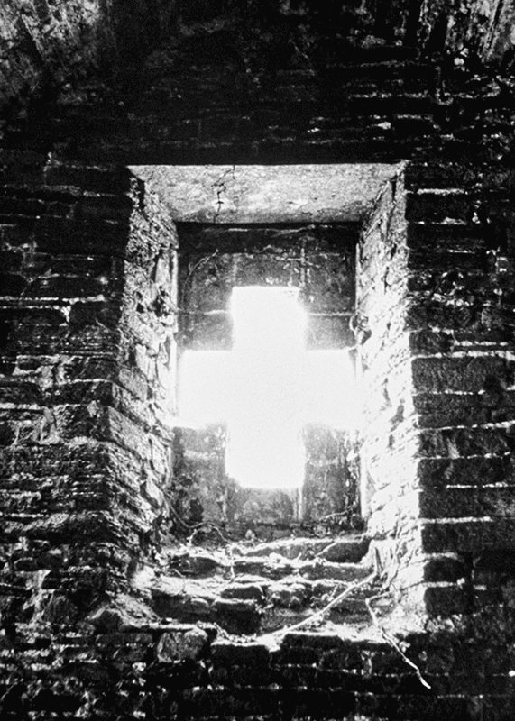 Barbara Claus / 1983 . 20- – Image 3